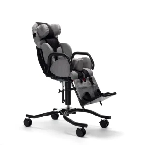Gemini 2   The perfect companion for the family